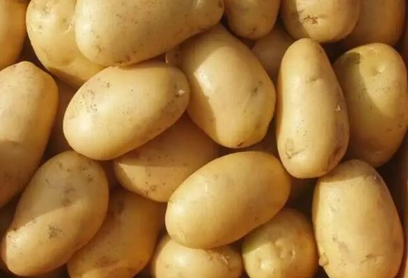 土豆有哪些功效与作用   吃土豆好吗